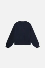 Iconic Blue Jersey (3)